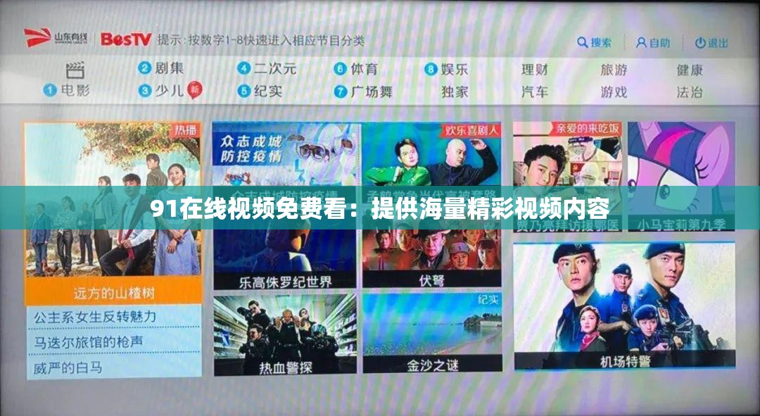 91在线视频免费看：提供海量精彩视频内容