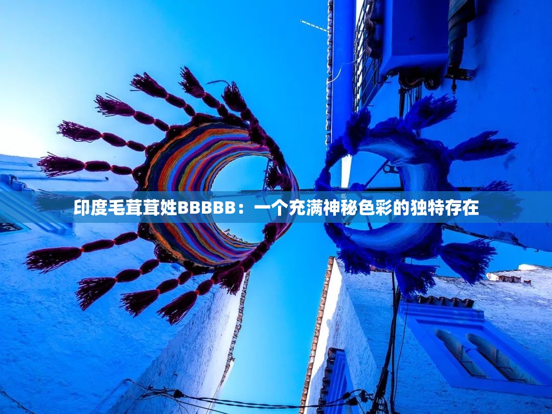 印度毛茸茸姓BBBBB：一个充满神秘色彩的独特存在