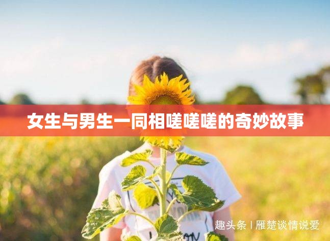 女生与男生一同相嗟嗟嗟的奇妙故事