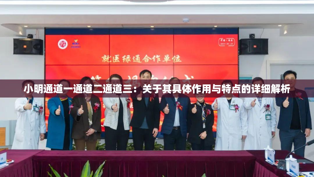 小明通道一通道二通道三：关于其具体作用与特点的详细解析
