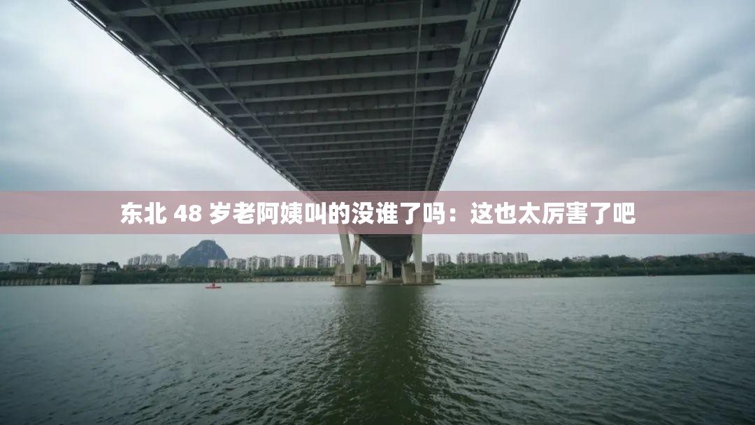 东北 48 岁老阿姨叫的没谁了吗：这也太厉害了吧