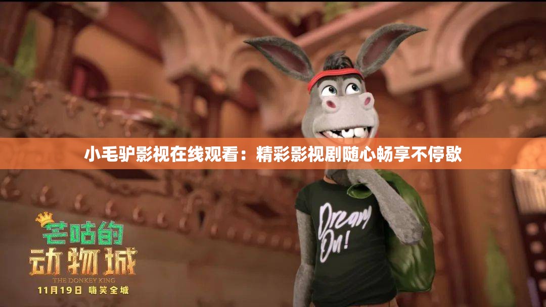 小毛驴影视在线观看：精彩影视剧随心畅享不停歇