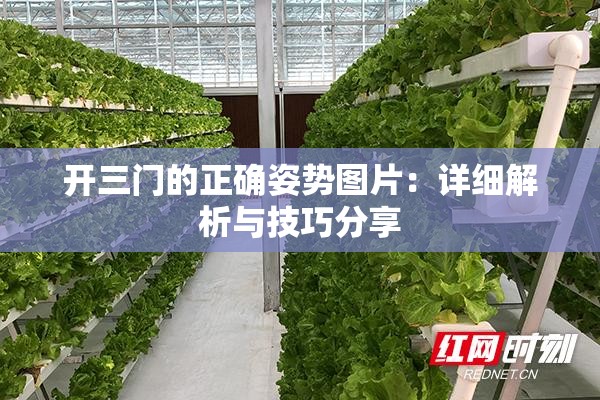 开三门的正确姿势图片：详细解析与技巧分享