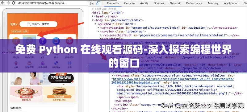免费 Python 在线观看源码-深入探索编程世界的窗口