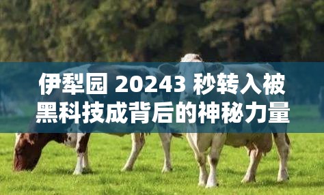 伊犁园 20243 秒转入被黑科技成背后的神秘力量与影响因素探秘