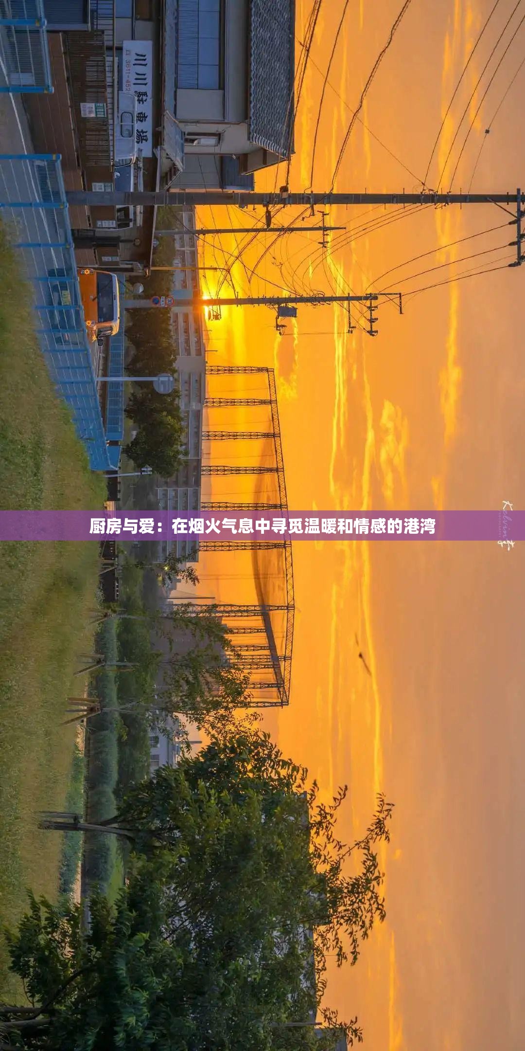 厨房与爱：在烟火气息中寻觅温暖和情感的港湾