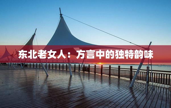 东北老女人：方言中的独特韵味