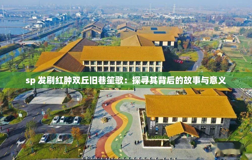 sp 发刷红肿双丘旧巷笙歌：探寻其背后的故事与意义