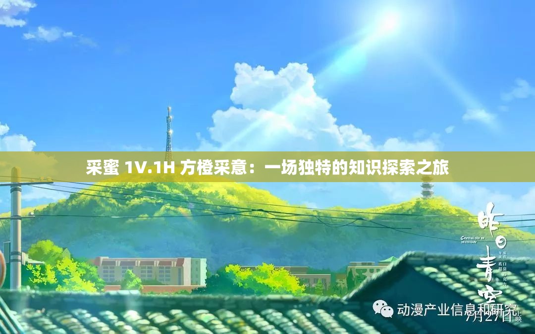采蜜 1V.1H 方橙采意：一场独特的知识探索之旅