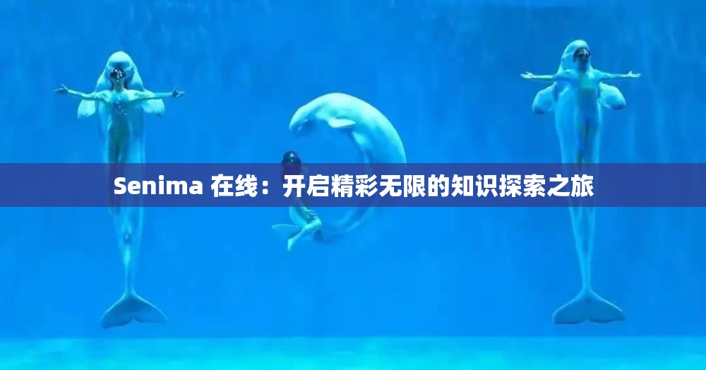Senima 在线：开启精彩无限的知识探索之旅