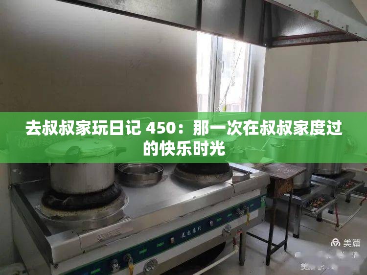 去叔叔家玩日记 450：那一次在叔叔家度过的快乐时光
