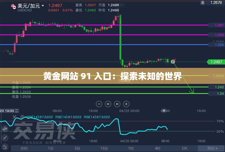 黄金网站 91 入口：探索未知的世界
