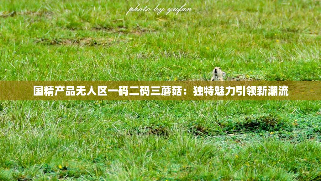 国精产品无人区一码二码三蘑菇：独特魅力引领新潮流