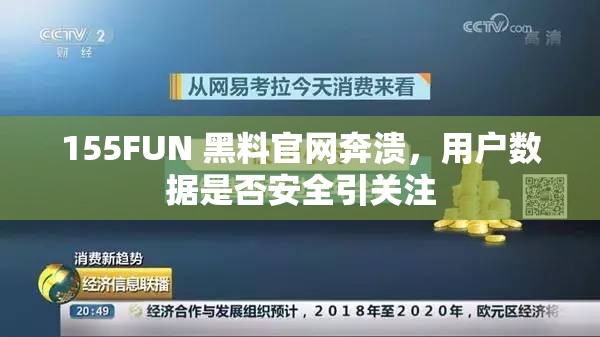 155FUN 黑料官网奔溃，用户数据是否安全引关注