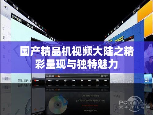 国产精品机视频大陆之精彩呈现与独特魅力