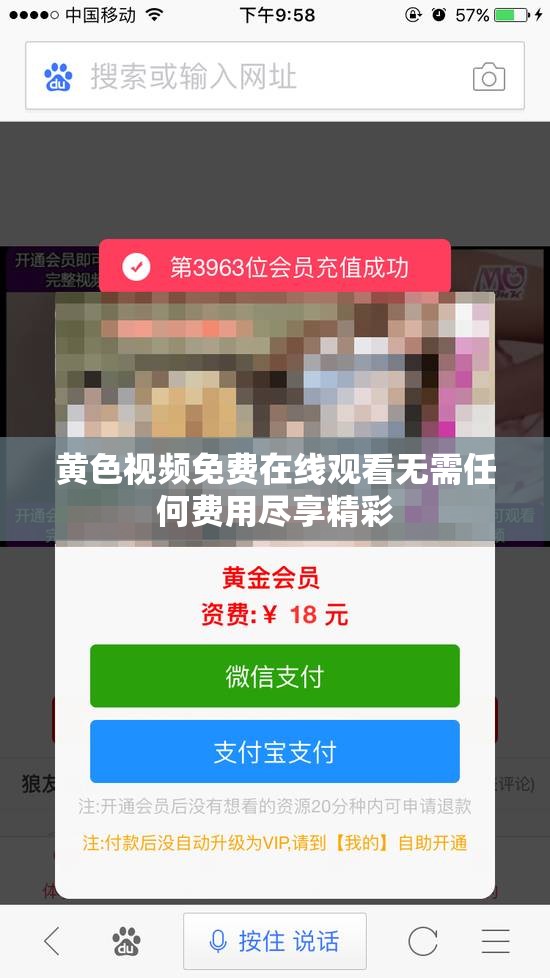 黄色视频免费在线观看无需任何费用尽享精彩