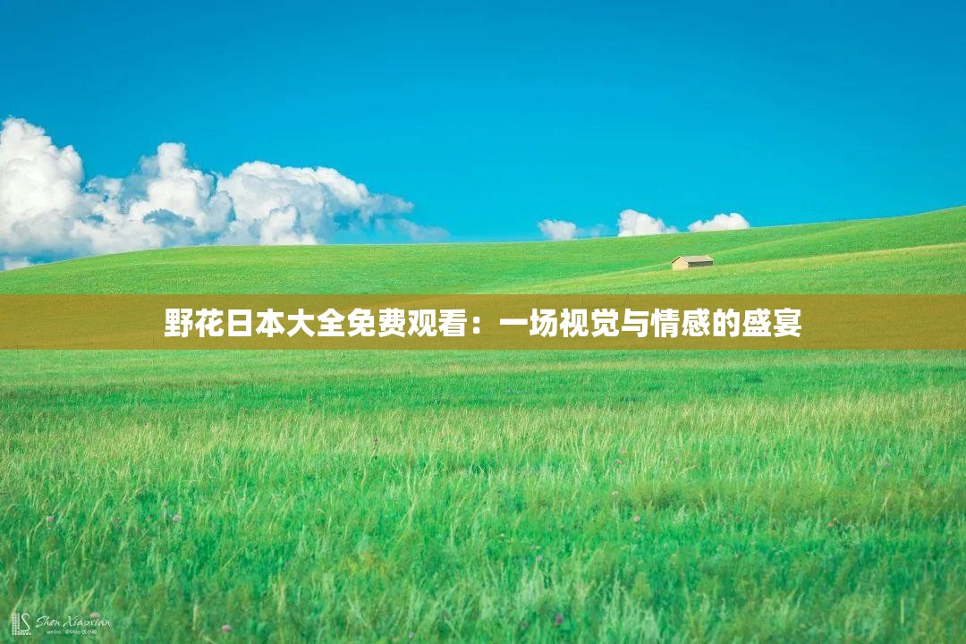 野花日本大全免费观看：一场视觉与情感的盛宴