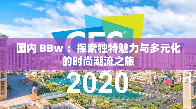 国内 BBw ：探索独特魅力与多元化的时尚潮流之旅