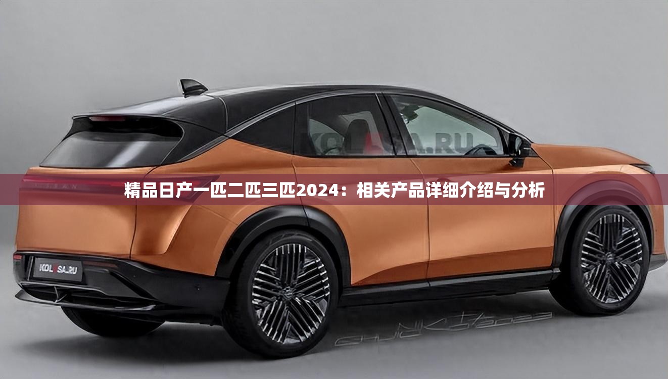 精品日产一匹二匹三匹2024：相关产品详细介绍与分析