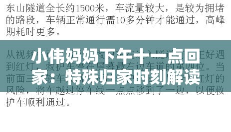 小伟妈妈下午十一点回家：特殊归家时刻解读