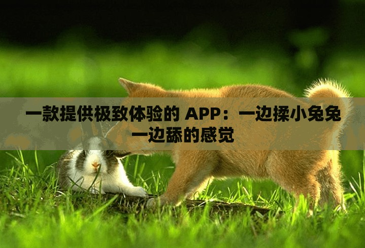 一款提供极致体验的 APP：一边揉小兔兔一边舔的感觉