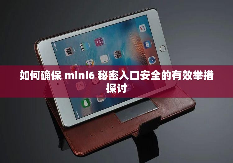 如何确保 mini6 秘密入口安全的有效举措探讨