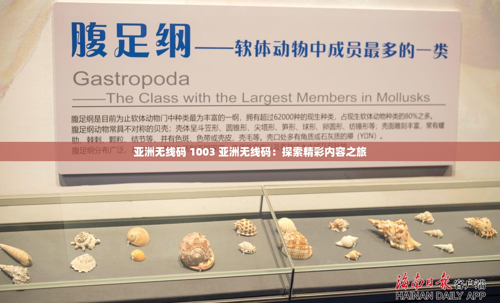 亚洲无线码 1003 亚洲无线码：探索精彩内容之旅
