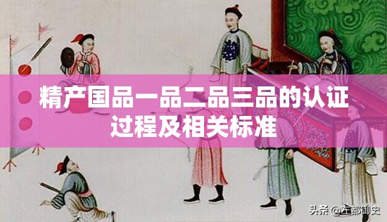 精产国品一品二品三品的认证过程及相关标准