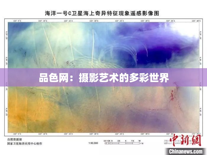 品色网：摄影艺术的多彩世界