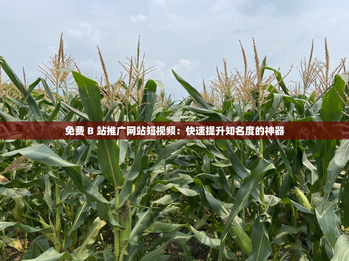 免费 B 站推广网站短视频：快速提升知名度的神器