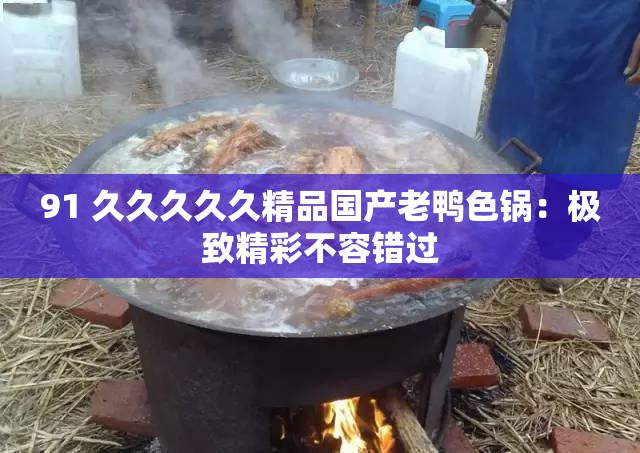 91 久久久久久精品国产老鸭色锅：极致精彩不容错过