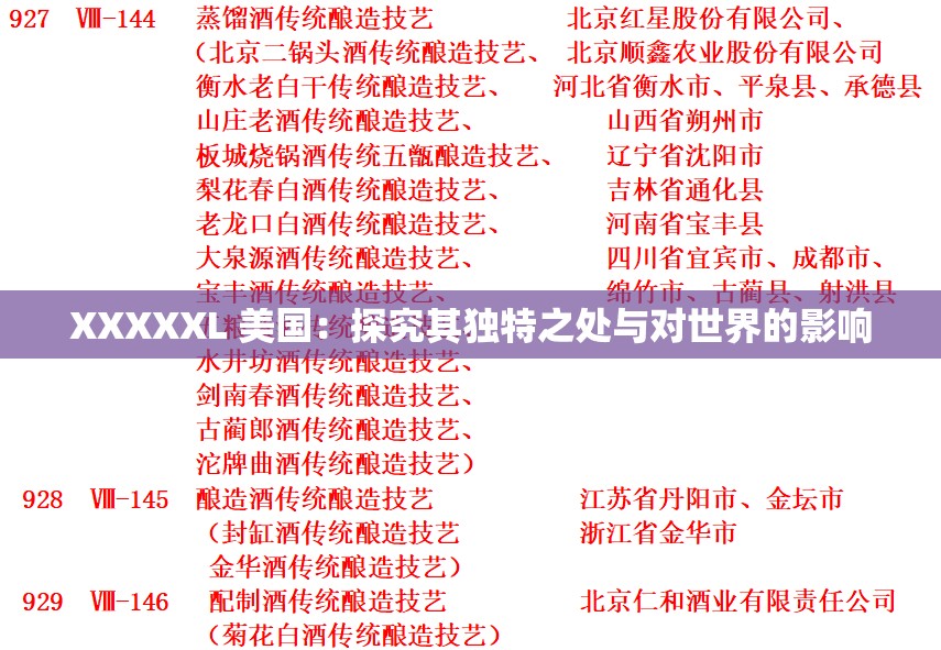XXXXXL 美国：探究其独特之处与对世界的影响
