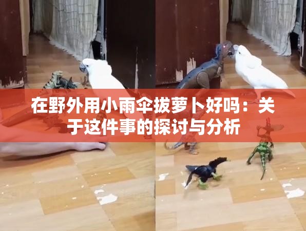 在野外用小雨伞拔萝卜好吗：关于这件事的探讨与分析