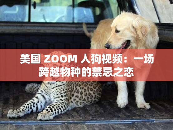 美国 ZOOM 人狗视频：一场跨越物种的禁忌之恋