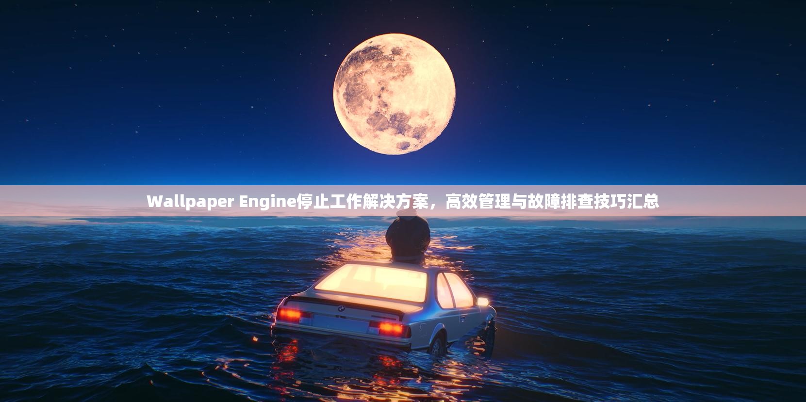 Wallpaper Engine停止工作解决方案，高效管理与故障排查技巧汇总