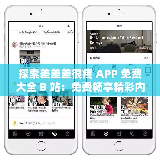 探索差差差很疼 APP 免费大全 B 站：免费畅享精彩内容
