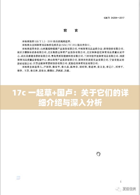 17c 一起草+国卢：关于它们的详细介绍与深入分析