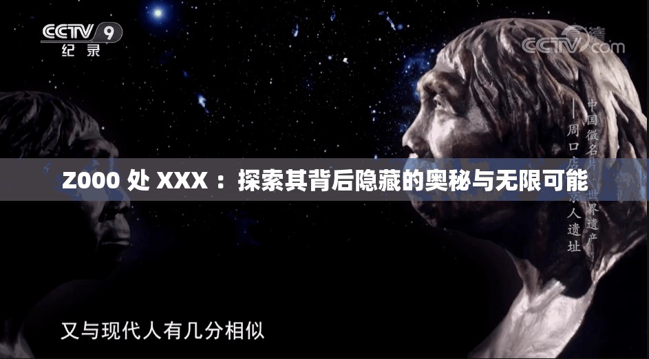 Z000 处 XXX ：探索其背后隐藏的奥秘与无限可能
