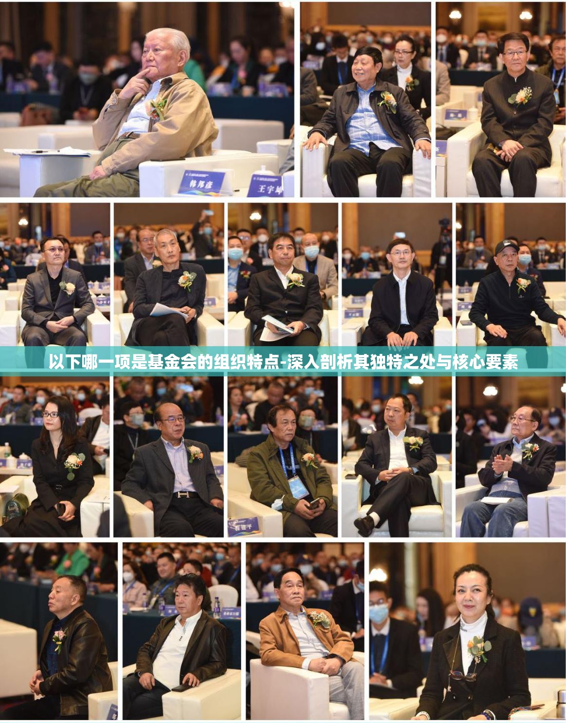 以下哪一项是基金会的组织特点-深入剖析其独特之处与核心要素