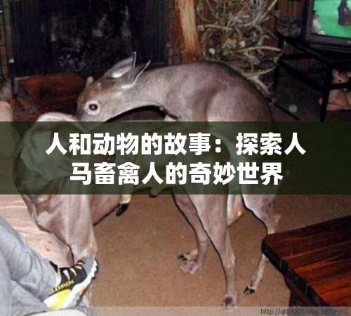 人和动物的故事：探索人马畜禽人的奇妙世界
