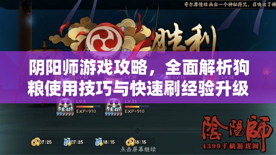 阴阳师游戏攻略，全面解析狗粮使用技巧与快速刷经验升级秘籍