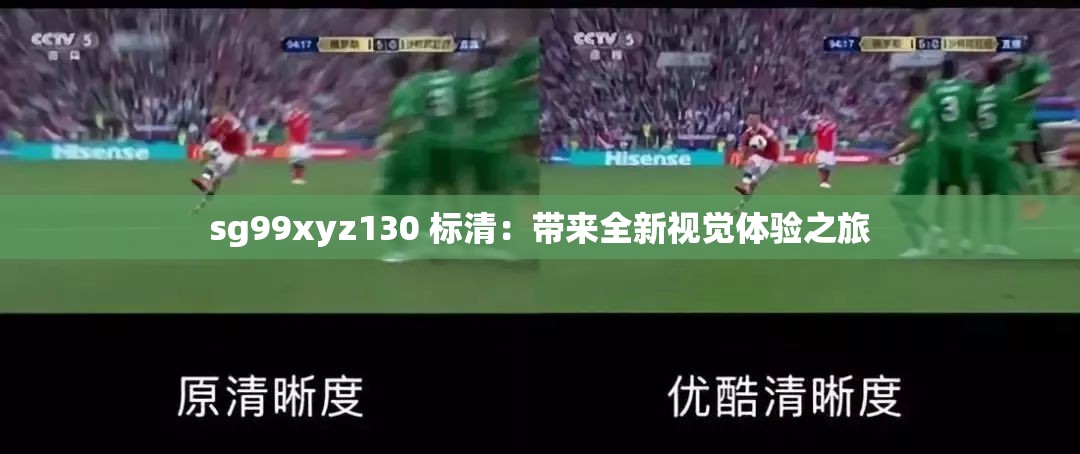 sg99xyz130 标清：带来全新视觉体验之旅