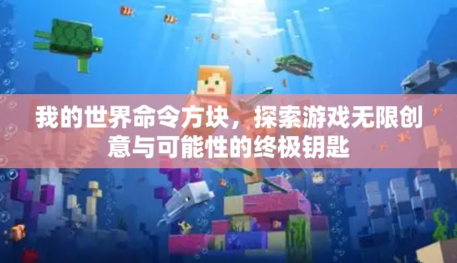 我的世界命令方块，探索游戏无限创意与可能性的终极钥匙