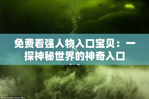 免费看强人物入口宝贝：一探神秘世界的神奇入口