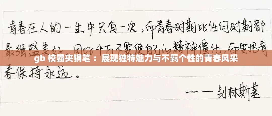 gb 校霸夹钢笔 ：展现独特魅力与不羁个性的青春风采