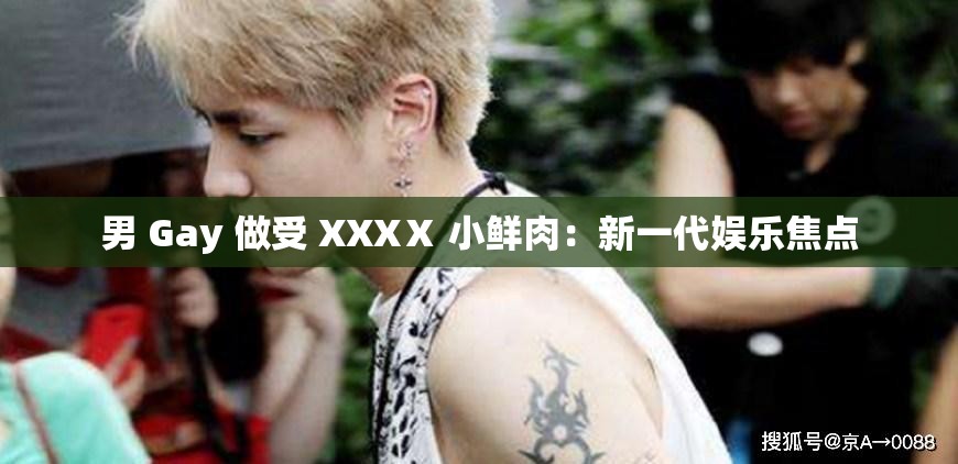 男 Gay 做受 XXXⅩ 小鲜肉：新一代娱乐焦点