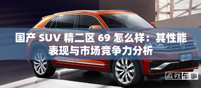国产 SUV 精二区 69 怎么样：其性能表现与市场竞争力分析