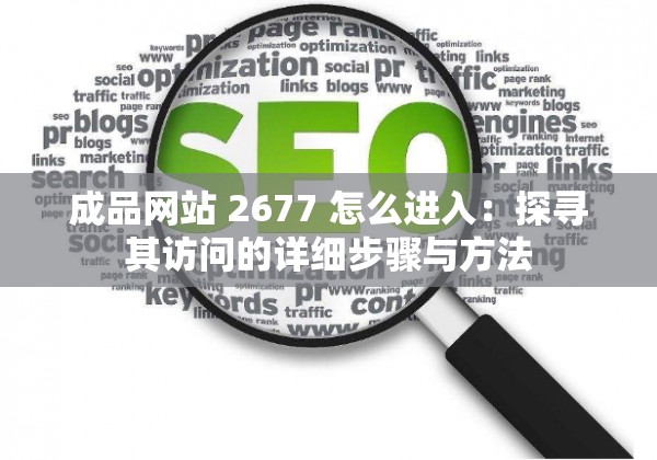 成品网站 2677 怎么进入：探寻其访问的详细步骤与方法