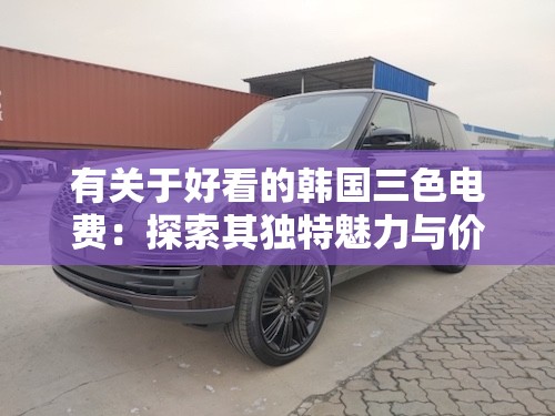 有关于好看的韩国三色电费：探索其独特魅力与价值所在