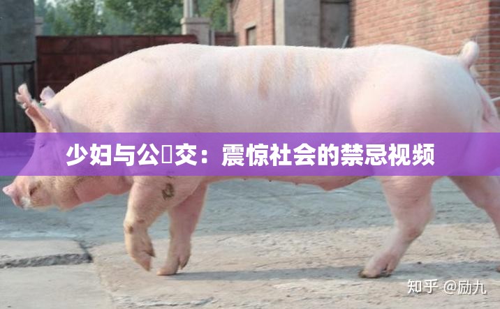 少妇与公豬交：震惊社会的禁忌视频